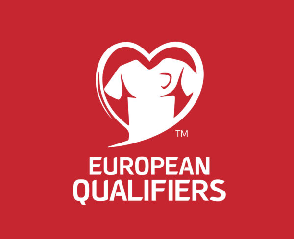 Euro Qualifiers Logo
